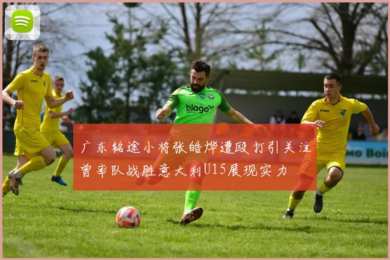 广东铭途小将张皓烨遭殴打引关注曾率队战胜意大利U15展现实力